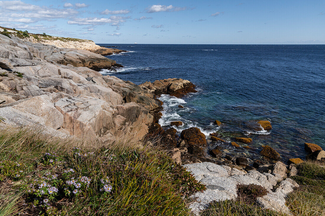 Felsige Küstenlinie im Naturschutzgebiet Duncan's Cove, Neuschottland, Kanada, Nordamerika