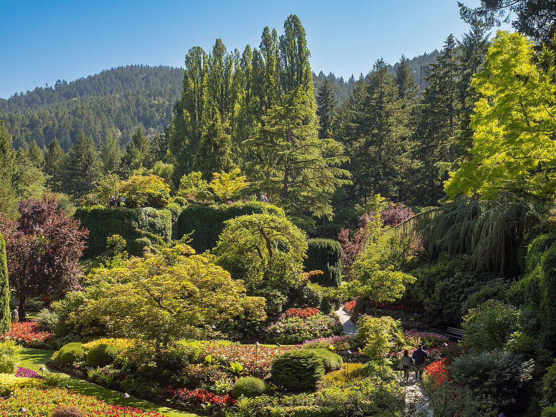 Butchart Gardens, Victoria, Vancouver Island, Britisch-Kolumbien, Kanada, Nordamerika