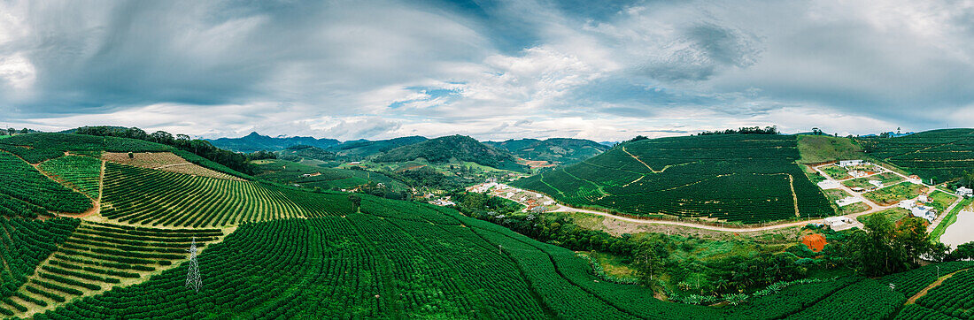 Panorama-Luftaufnahme von Arabica-Kaffeeplantagen in Minas Gerais, Brasilien, Südamerika