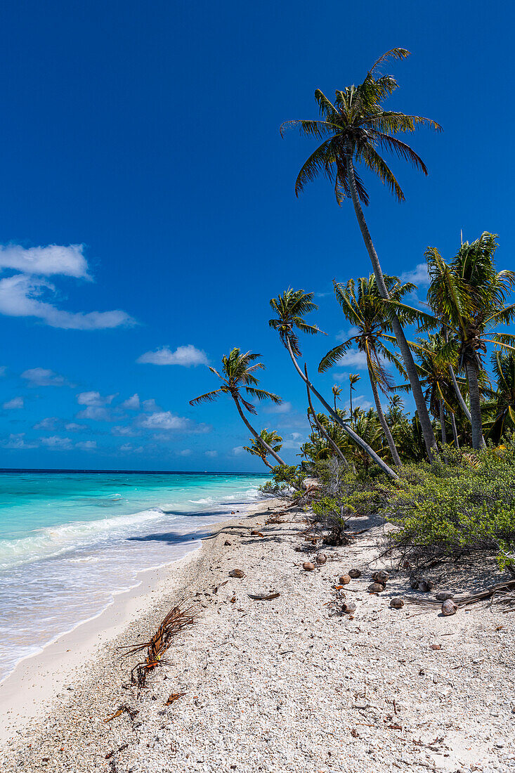 Weißer Sandstrand PK-9, Fakarava, Tuamotu-Archipel, Französisch-Polynesien, Südpazifik, Pazifik