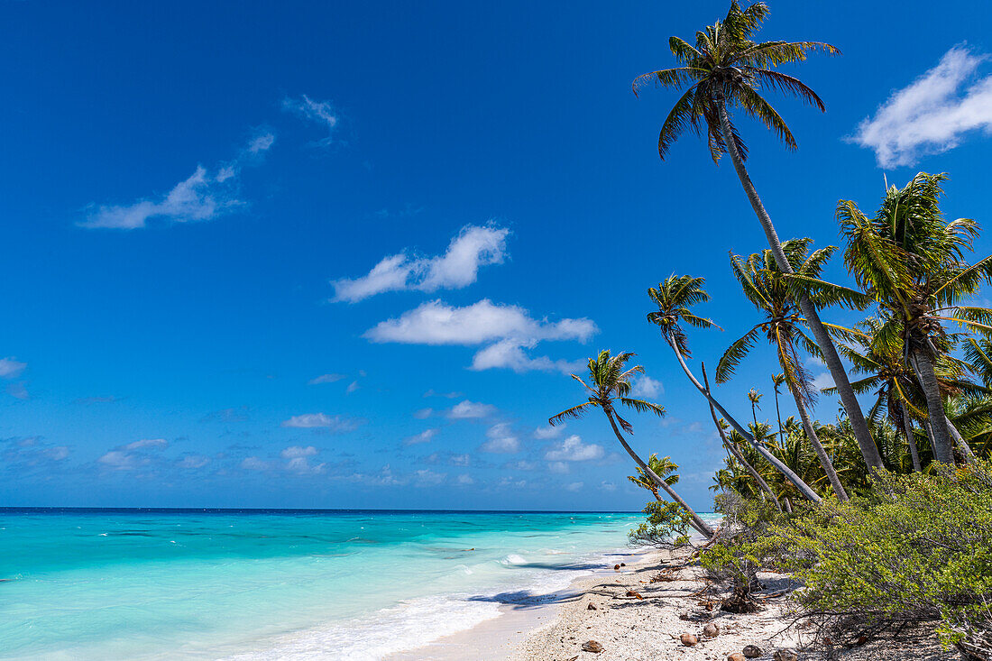 White sand PK-9 beach, Fakarava, Tuamotu archipelago, French Polynesia, South Pacific, Pacific