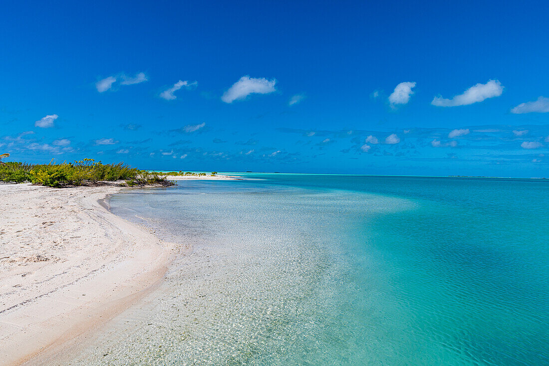 Weißer Sandstrand an der grünen Lagune, Fakarava, Tuamotu-Archipel, Französisch-Polynesien, Südpazifik, Pazifik