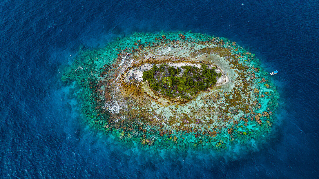 Luftaufnahme eines kleinen Inselchens voller Vögel in der Lagune von Fakarava, Tuamotu-Archipel, Französisch-Polynesien, Südpazifik, Pazifik