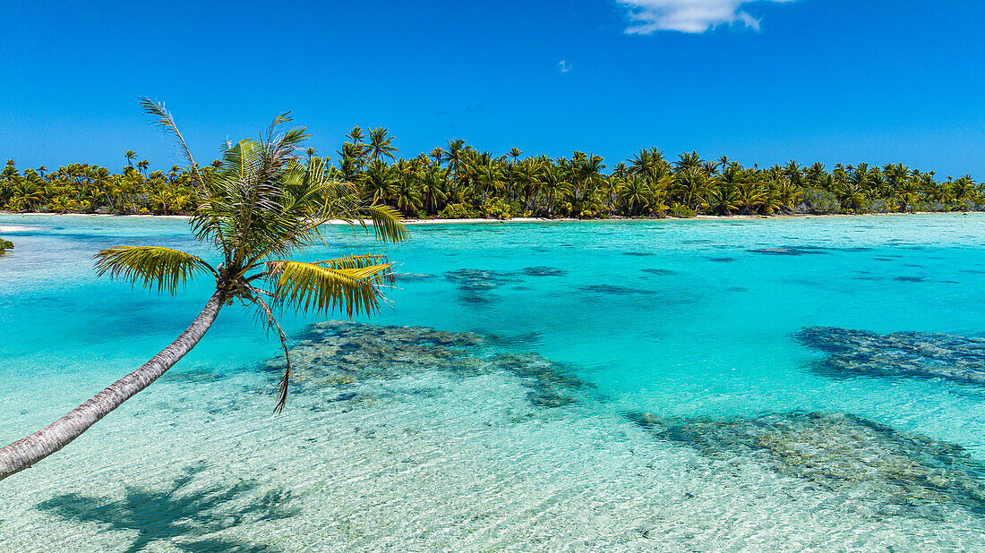 Aerial of the blue lagoon, Fakarava, Tuamotu archipelago, French Polynesia, South Pacific, Pacific