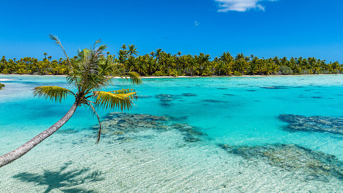 Luftaufnahme der blauen Lagune, Fakarava, Tuamotu-Archipel, Französisch-Polynesien, Südpazifik, Pazifik