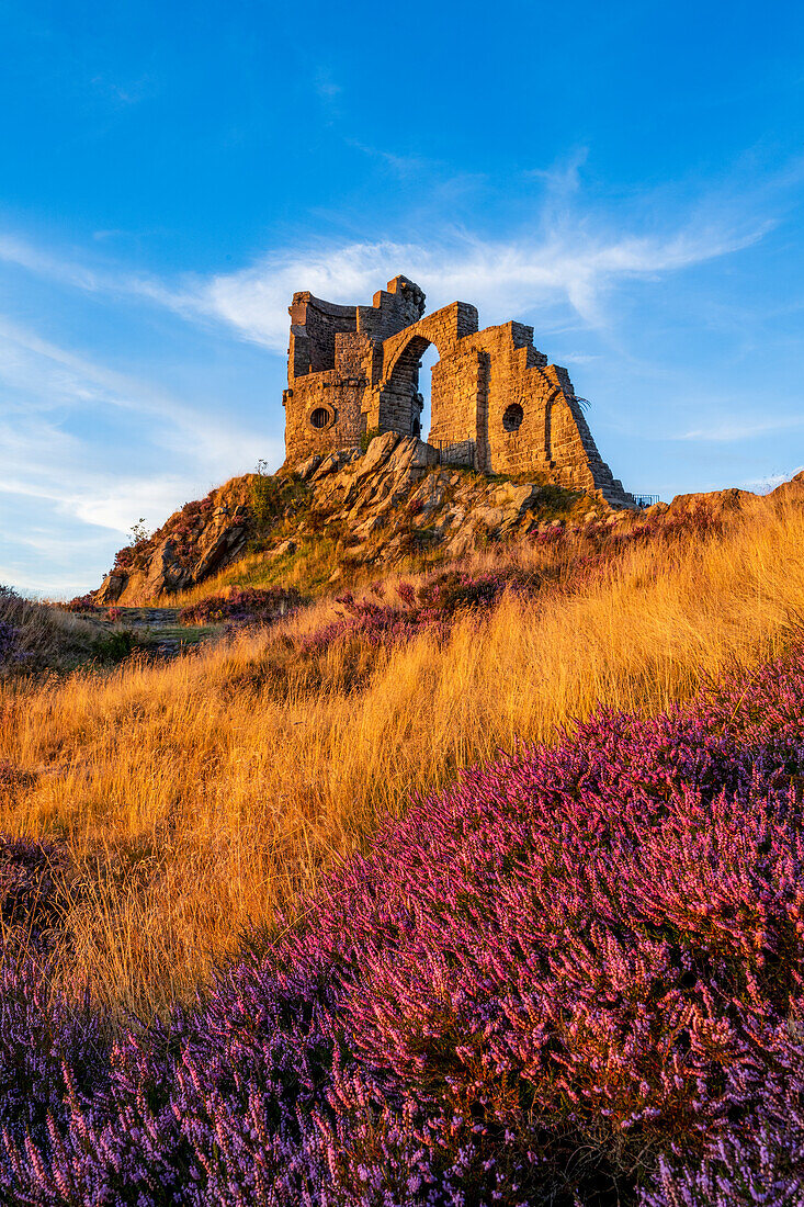 Mow Cop in summer with heather, Mow Cop, Cheshire, England, United Kingdom, Europe