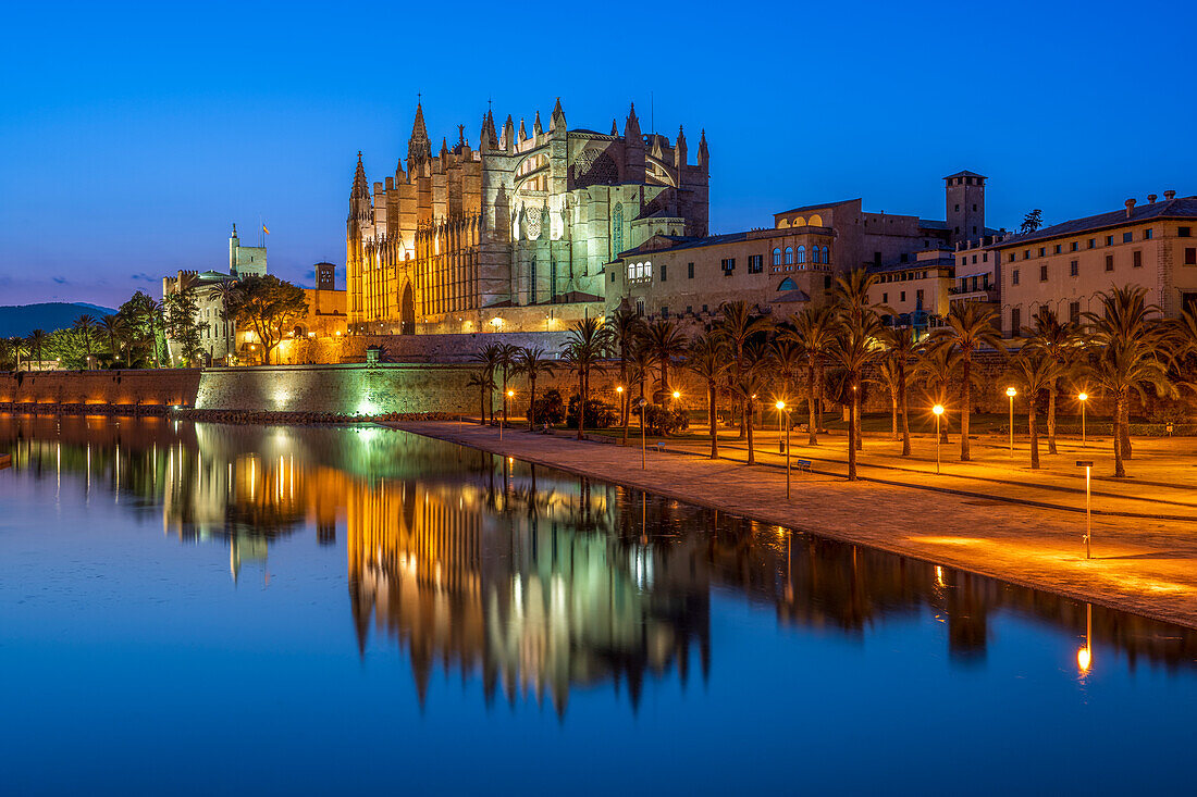 Catedral de Palma (Palma Cathedral) at night, Palma, Majorca, Balearic Islands, Spain, Mediterranean, Europe