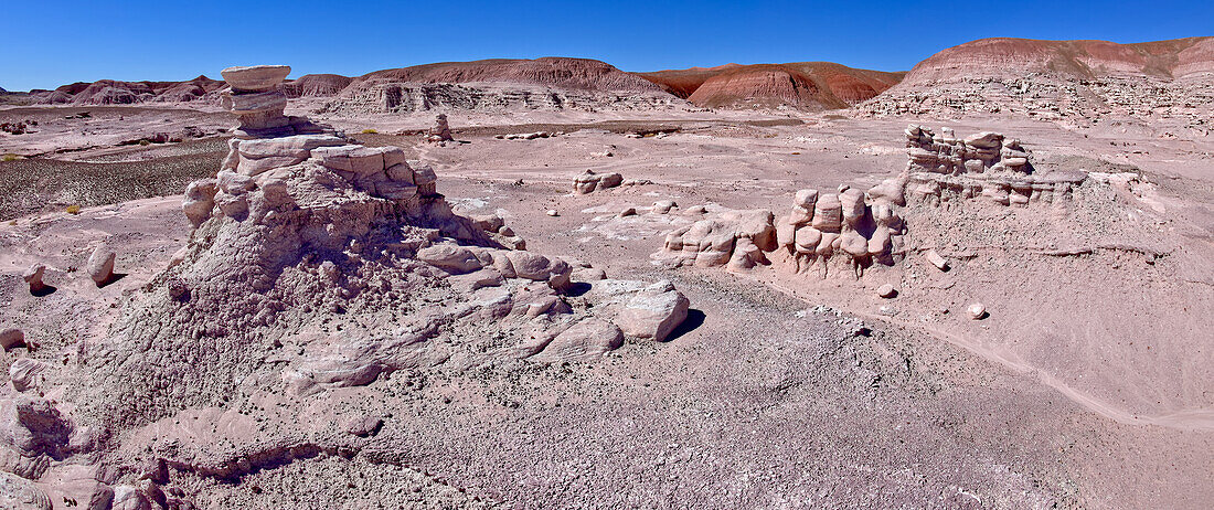 Various hoodoos in Angels Garden at Petrified Forest National Park, Arizona, United States of America, North America