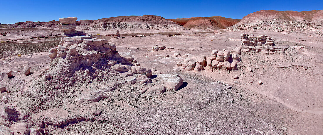 Verschiedene Hoodoos im Angels Garden im Petrified Forest National Park, Arizona, Vereinigte Staaten von Amerika, Nordamerika