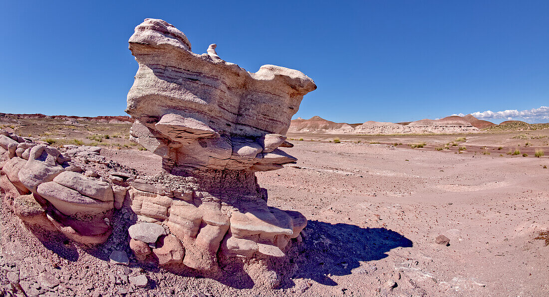 A lone hoodoo on the edge of Angels Garden in Petrified Forest, Arizona, United States of America, North America