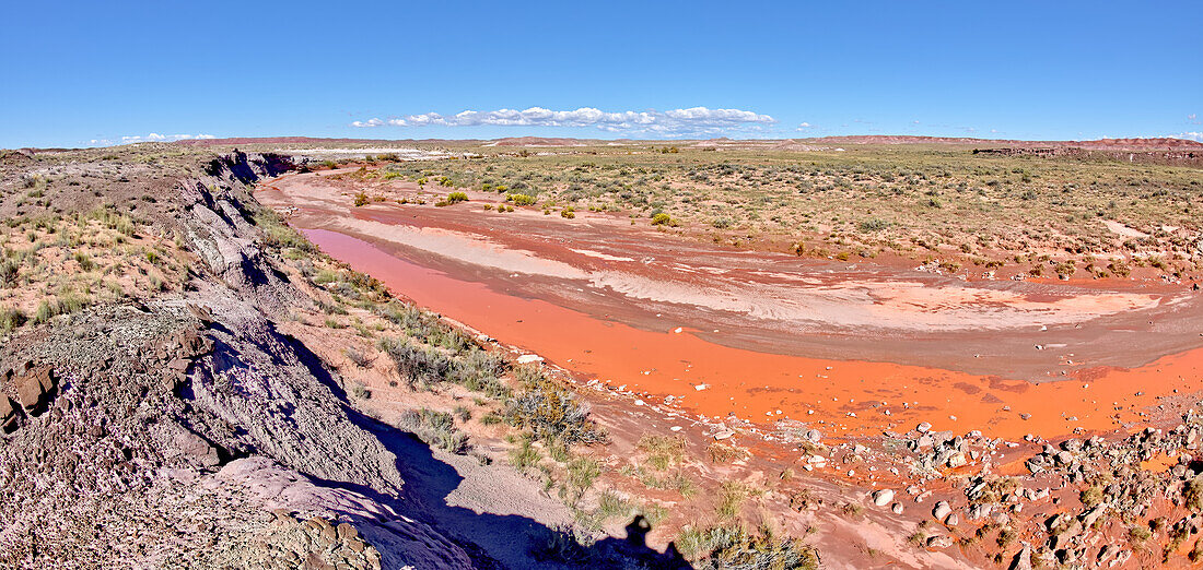 The red water of Lithodendron Wash, red from bentonite clay, in Petrified Forest National Park, Arizona, United States of America, North America