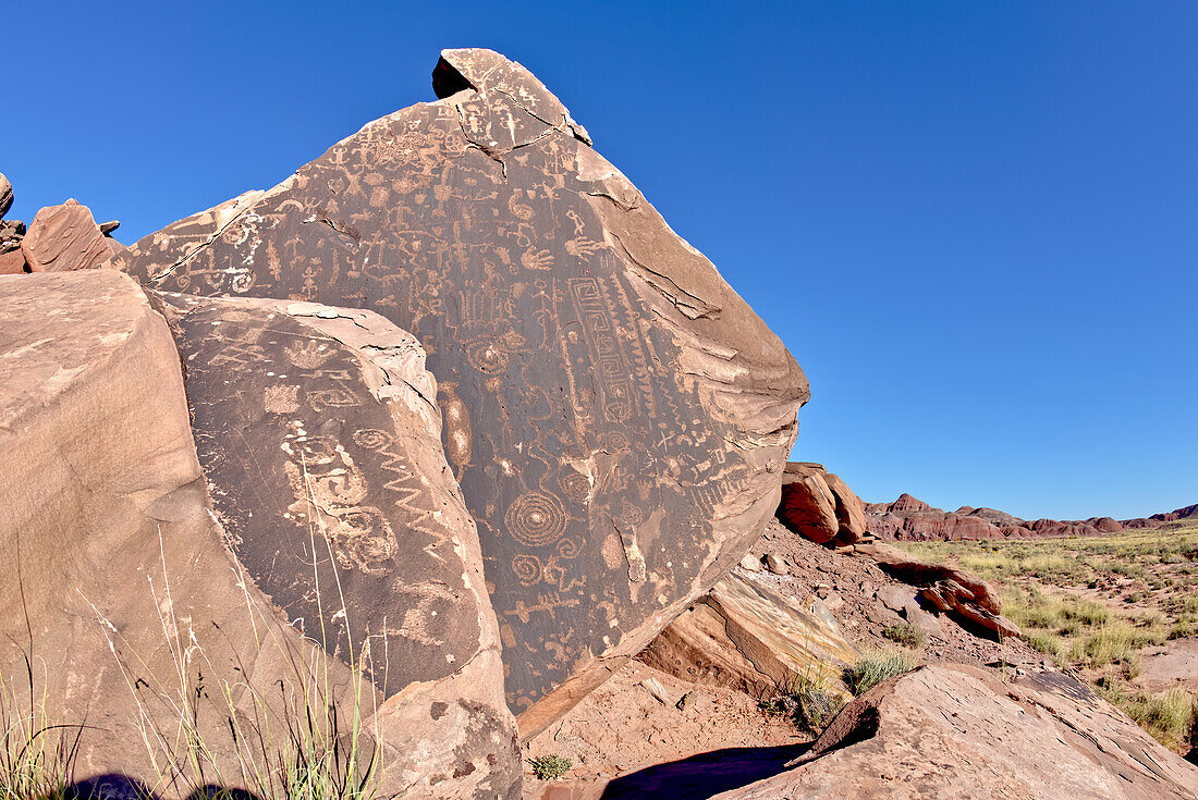 Alte indianische Petroglyphen entlang des Onyx Trail im Petrified Forest National Park, Arizona, Vereinigte Staaten von Amerika, Nordamerika