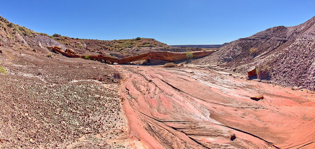 Onyx Bridge at Petrified Forest National Park, Arizona, United States of America, North America