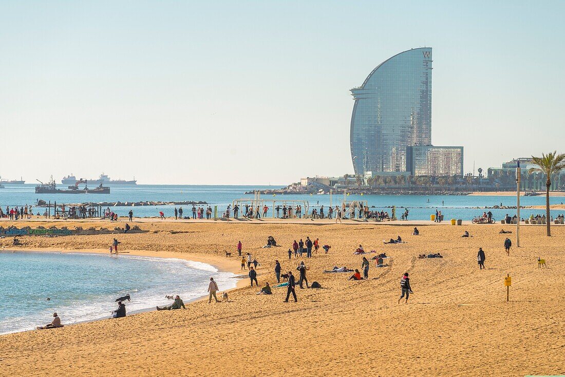Strand von Barceloneta, Barcelona, Katalonien, Spanien, Europa
