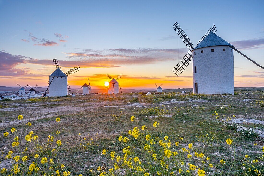 Windmills, Campo de Criptana, Ciudad Real, Castile-La Mancha, Spain, Europe