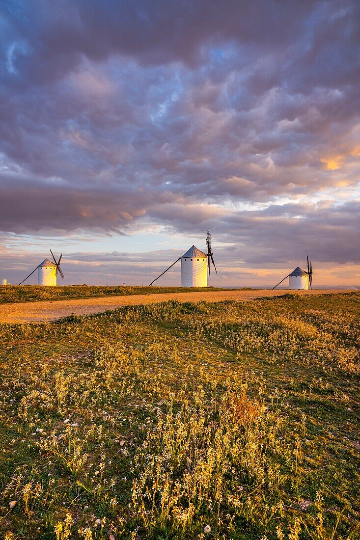 Windmühlen, Campo de Criptana, Ciudad Real, Kastilien-La Mancha, Spanien, Europa