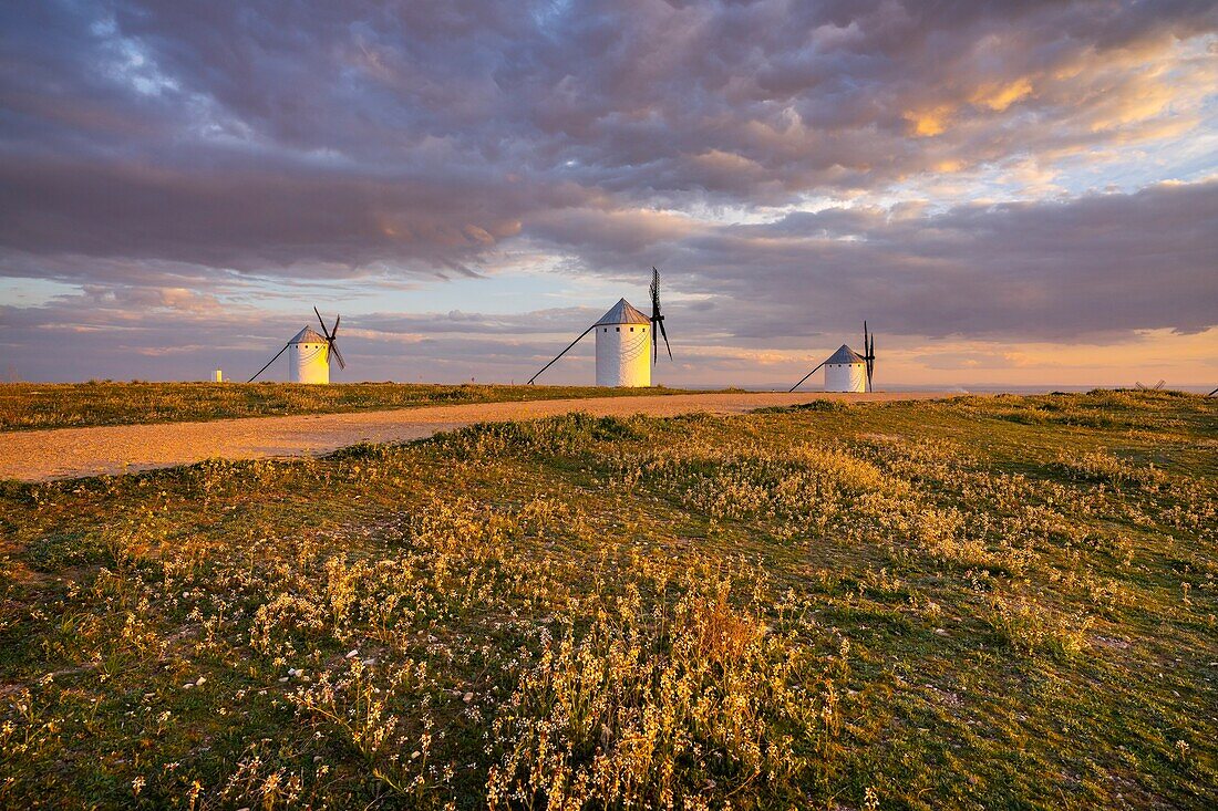 Windmills, Campo de Criptana, Ciudad Real, Castile-La Mancha, Spain, Europe