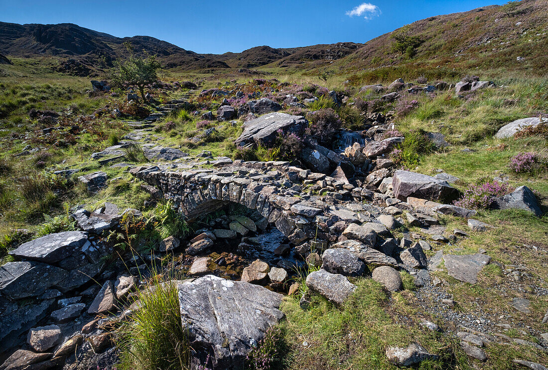 Die Römische Treppe im Sommer oberhalb von Cwm Bychan, Rhinogydd (Rhinog) Mountains, Snowdonia National Park, Nordwales, Vereinigtes Königreich, Europa