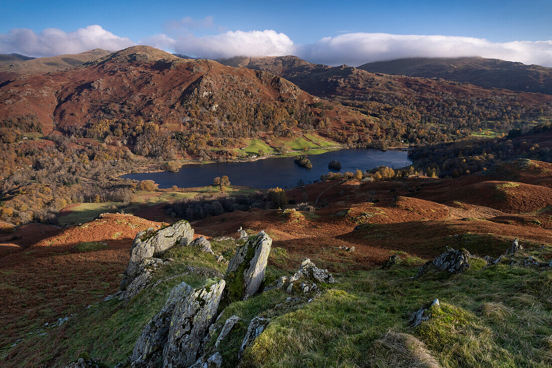 Rydal Water backed by Nab Scar and Heron Pike from Loughrigg Fell in autumn, Lake District National Park, UNESCO World Heritage Site, Cumbria, England, United Kingdom, Europe