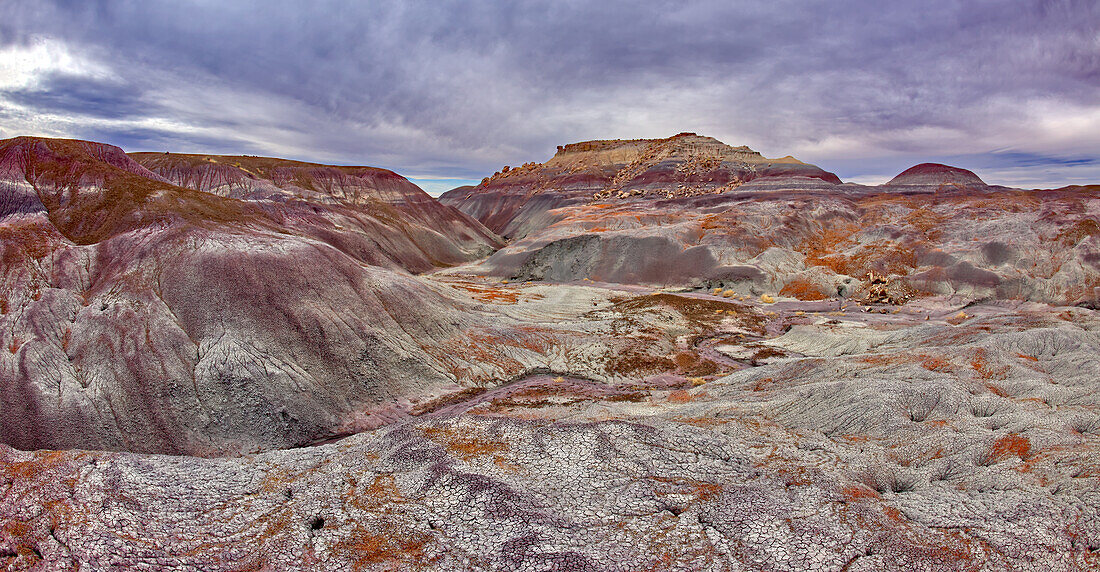 Blick auf die salzigen Bentonithügel an der Nordseite des Blue Forest im Petrified Forest National Park, Arizona, Vereinigte Staaten von Amerika, Nordamerika