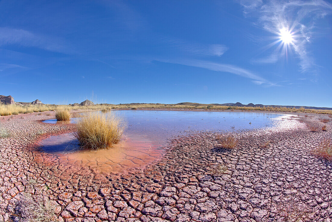 Der flache Teich namens Dry Creek Tank entlang des Red Basin Trail, Petrified Forest National Park, Arizona, Vereinigte Staaten von Amerika, Nordamerika