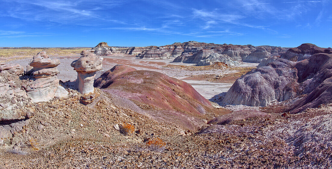 View of the West End of the Red Basin from a hilltop at Petrified Forest National Park, Arizona, United States of America, North America