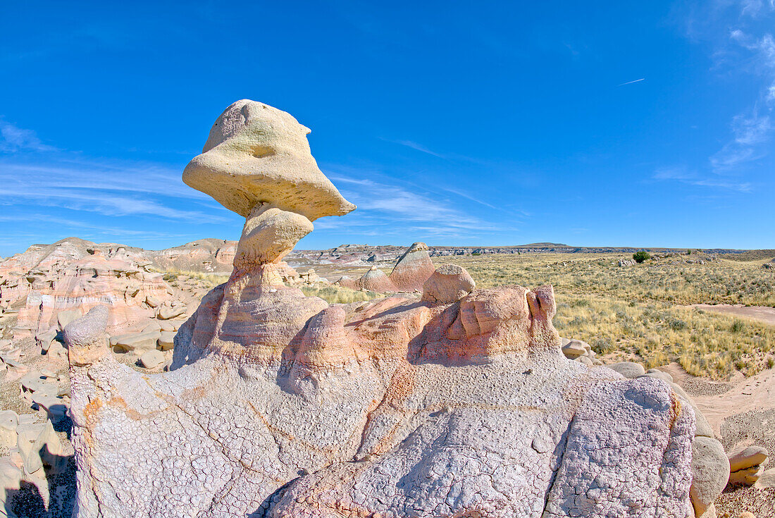 A rock hoodoo in Pharaoh's Garden that resembles a Duck head, Petrified Forest, Arizona, United States of America, North America