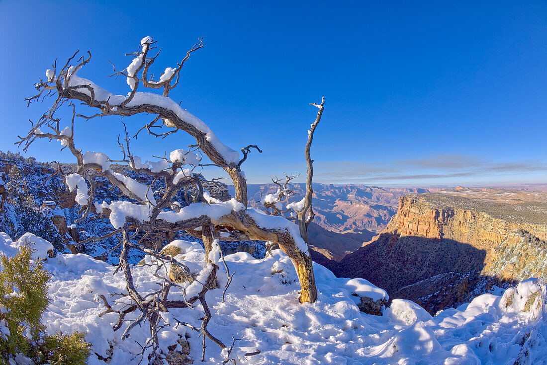 Winterlicher Blick auf die Palisades of the Desert im Grand Canyon National Park, UNESCO-Welterbe, Arizona, Vereinigte Staaten von Amerika, Nordamerika