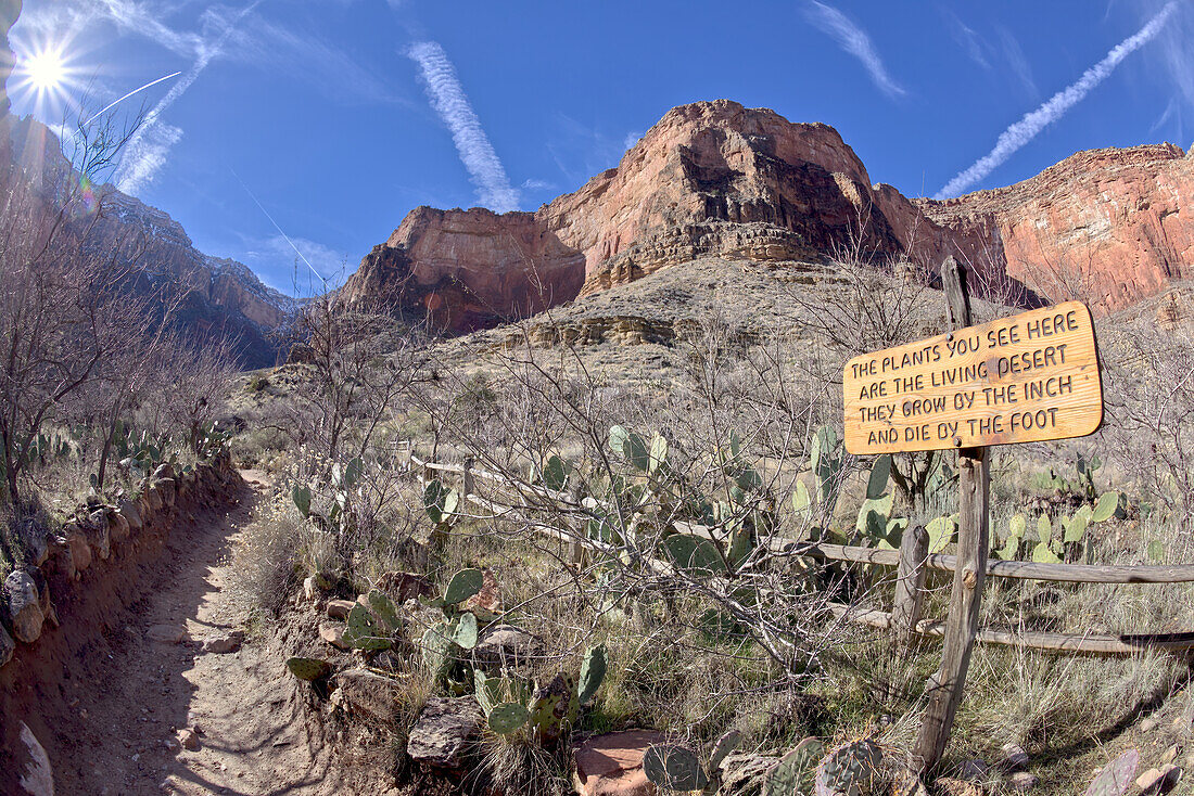 Ein Schild am Bright Angel Trail im Grand Canyon, das darauf hinweist, dass die Pflanzen in diesem Gebiet sehr empfindlich sind, Grand Canyon National Park, UNESCO-Weltnaturerbe, Arizona, Vereinigte Staaten von Amerika, Nordamerika