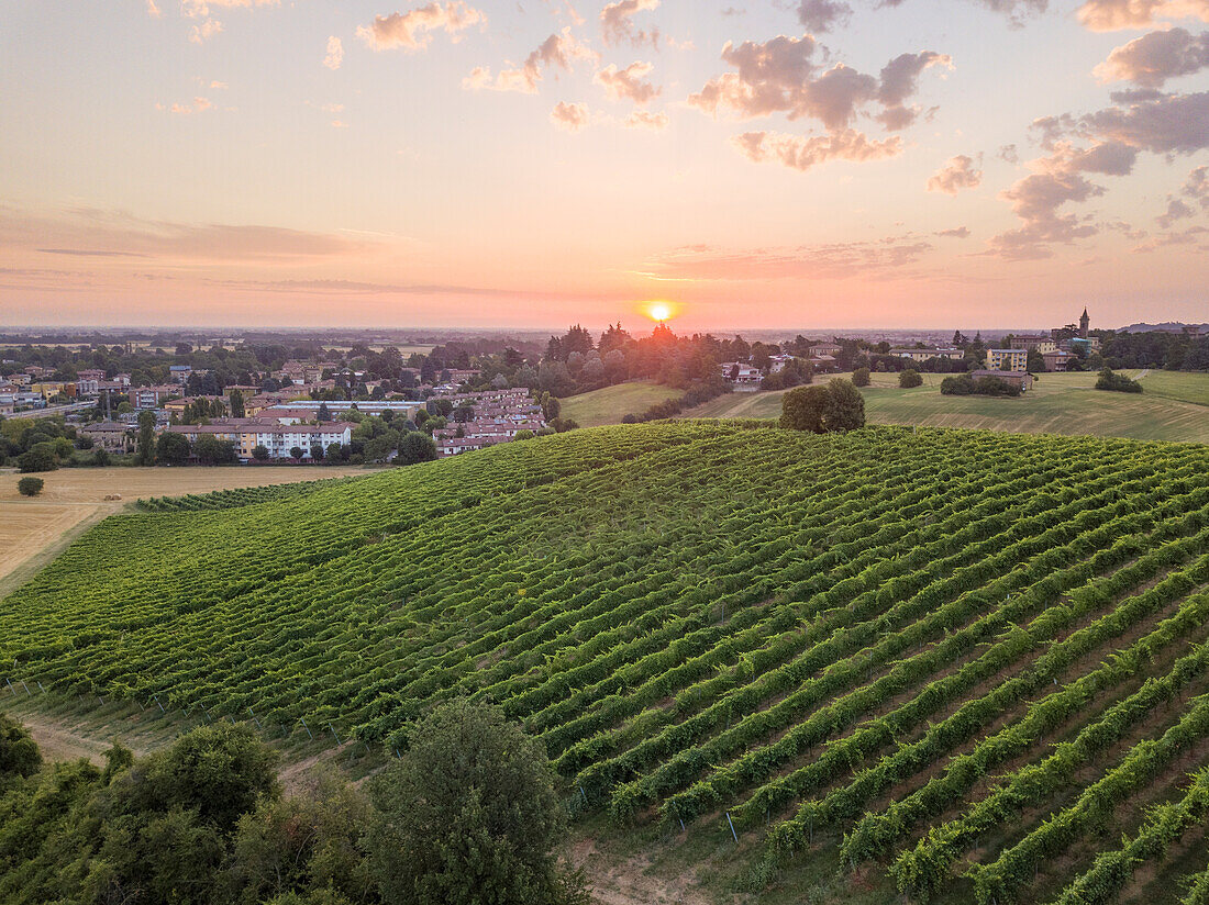 Aerial view of Italian vineyards with the sun rising on the horizon, Emilia-Romagna, Italy, Europe