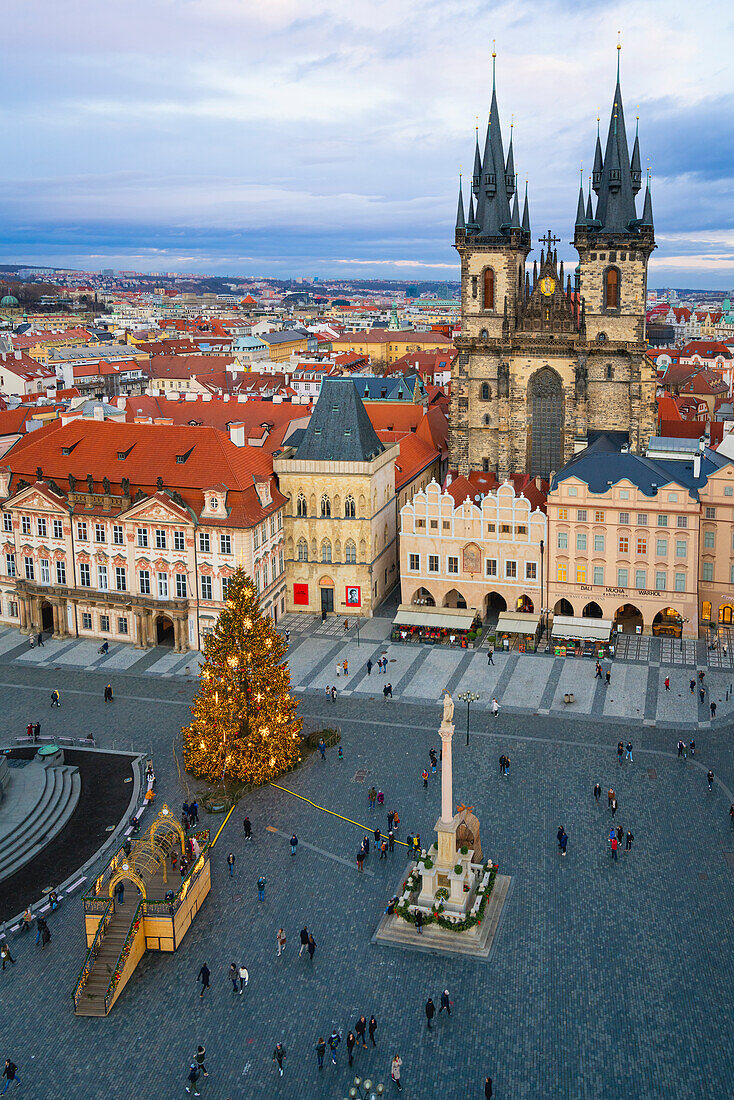 Christmas tree at Old Town Square with Church of Our Lady before Tyn, UNESCO World Heritage Site, Prague, Bohemia, Czech Republic (Czechia), Europe