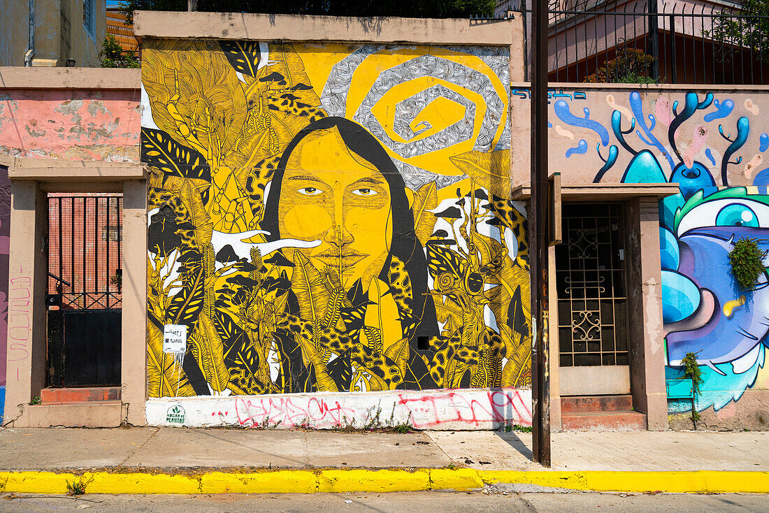 Bemalte Wandmalerei an einem Wohnhaus in der Avenida Alemania, Cerro Alegre, Valparaiso, Chile, Südamerika