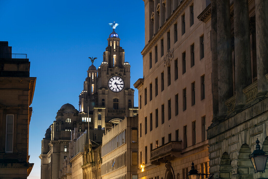 The Liver Building at night, Water Street, Liverpool, Merseyside, England, United Kingdom, Europe