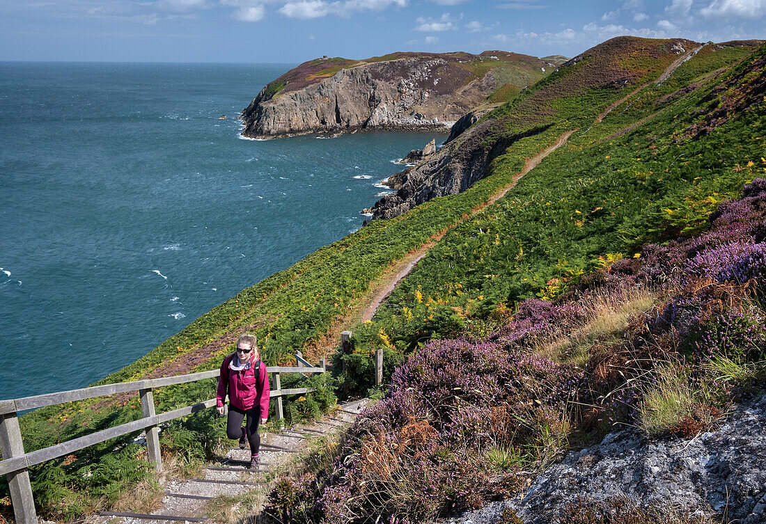 Young woman walking the Anglesey Coast Path in summer, near Cemaes, Isle of Anglesey, North Wales, Wales, United Kingdom, Europe