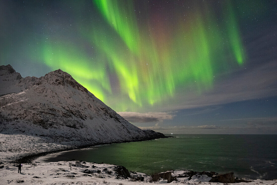 A photographer shoots the Aurora Borealis (Northern Lights) over Skoytneset mountain and Mefjorden in winter, near Mefjordvaer, Senja, Troms og Finnmark county, Norway, Scandanavia, Europe