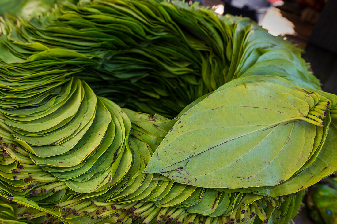 Betel leaves organized in circle that Burmese use for chewing, Inn Thein market, Lake Inle, Shan State, Myanmar (Burma), Asia