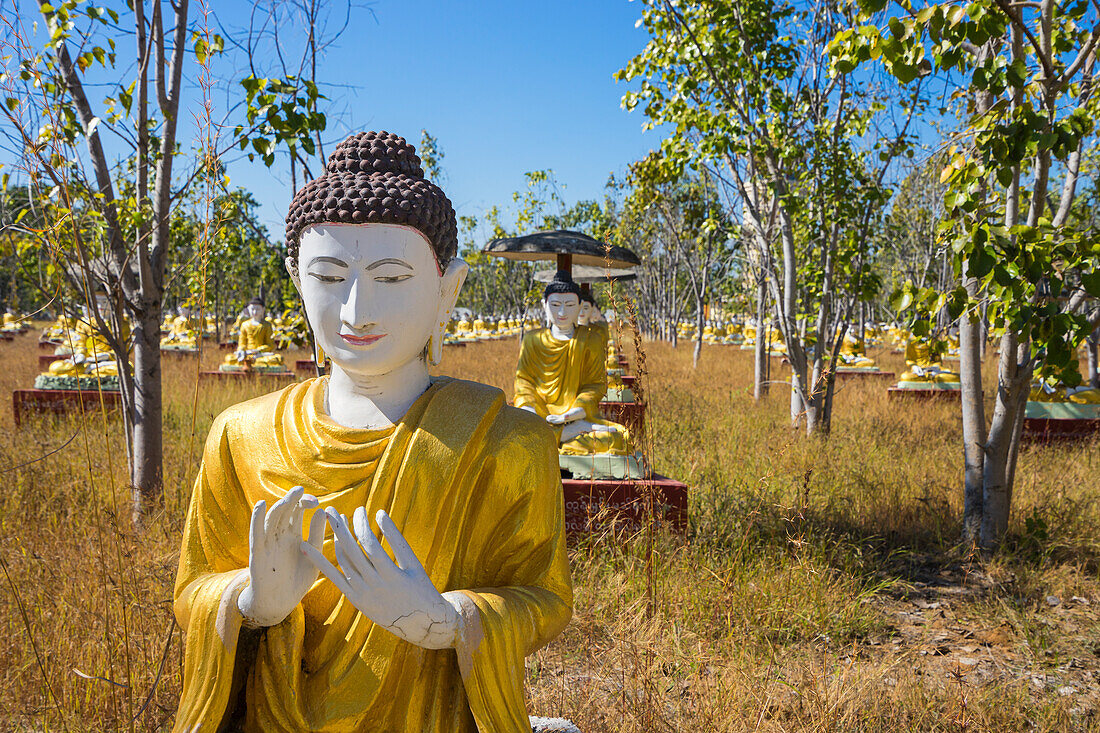Garten der Tausend Buddhas, Monywa, Myanmar (Birma), Asien