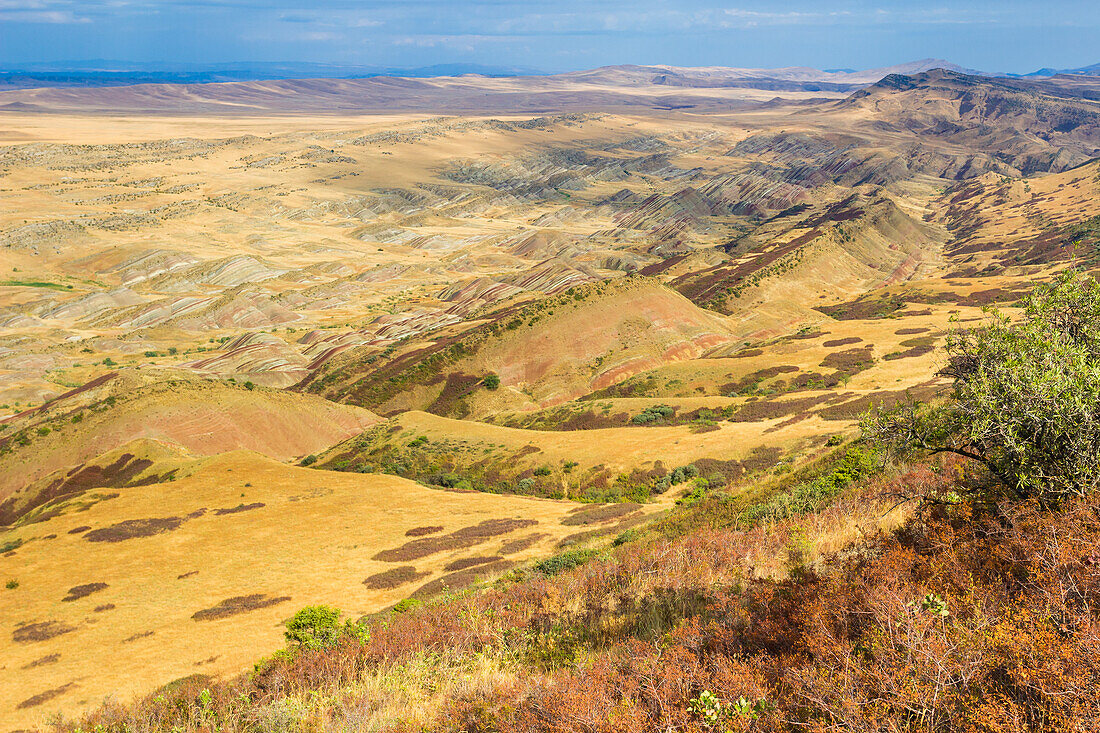 Farbenfrohe Landschaft in der Nähe des David-Gareja-Komplexes, Udabno, Georgien, Zentralasien, Asien