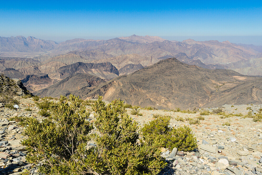 Al Hajar-Gebirge (Oman-Gebirge) in der Nähe des Jebel Shams Canyon, Oman, Naher Osten