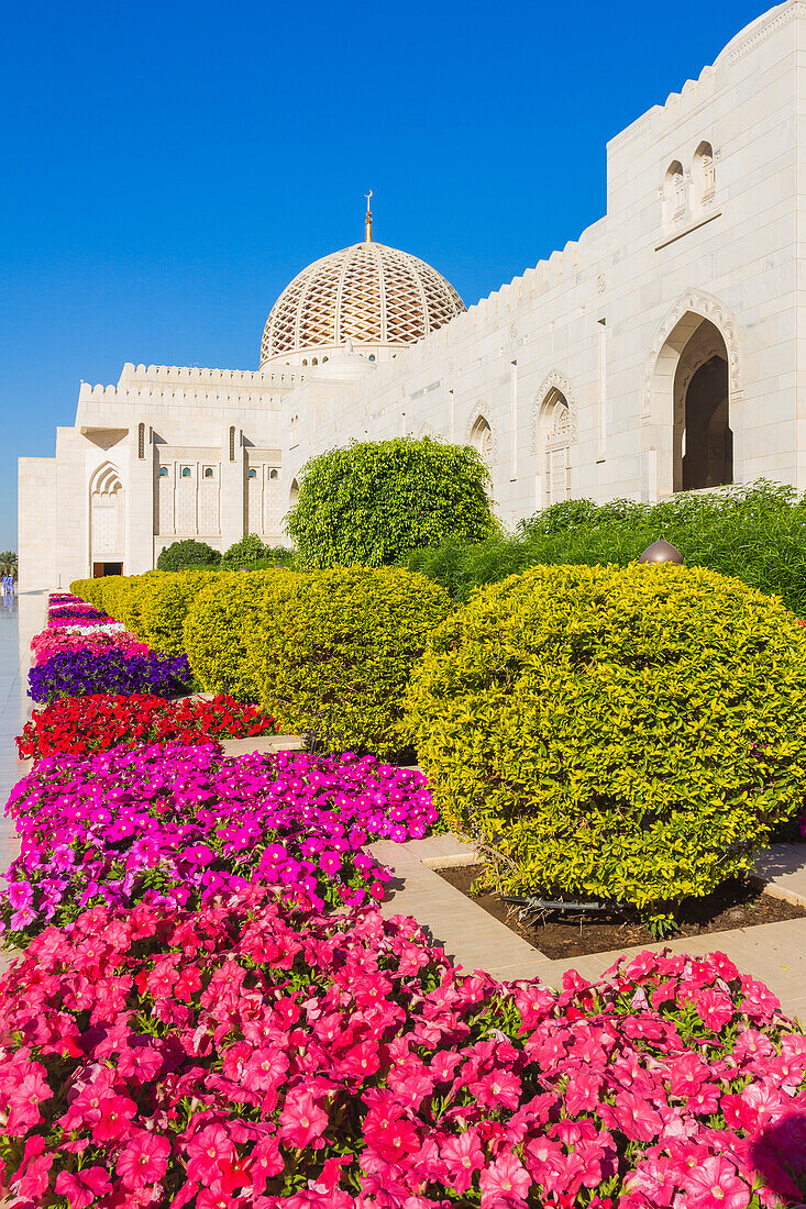 Flowers and dome of Sultan Gaboos Grand Mosque, Muscat, Oman, Middle East