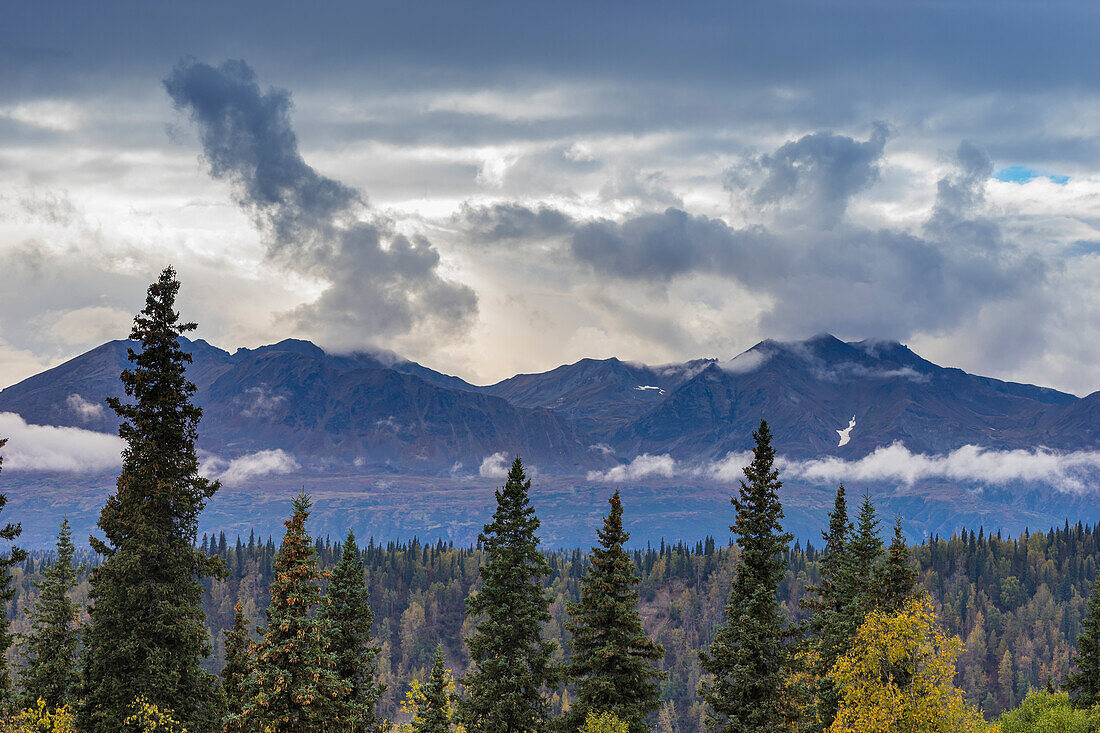 Landschaftliche Ansicht von Wald und Bergen, Denali National Park and Preserve, Alaska, Vereinigte Staaten von Amerika, Nordamerika