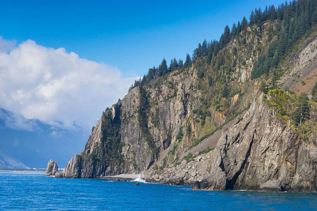 Bäume auf Felsen in der Resurrection Bay, Seward, Kenai Peninsula Borough, Südzentrales Alaska, Alaska, Vereinigte Staaten von Amerika, Nordamerika