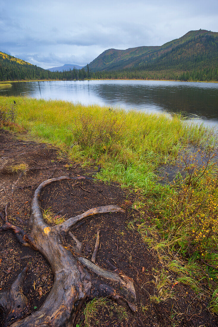 Triple Lakes, Denali National Park, Alaska, Vereinigte Staaten von Amerika, Nordamerika
