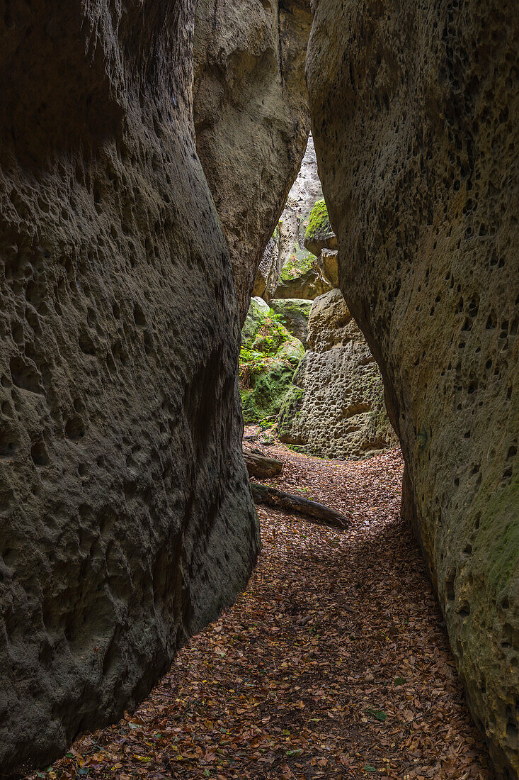 Felsenlabyrinth, Mseno, Landschaftsschutzgebiet Kokorinsko, Mittelböhmen, Tschechische Republik (Tschechien), Europa