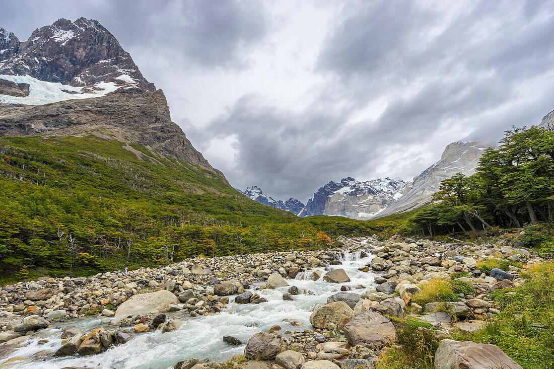River flowing by Paine Grande mountain in French Valley, Torres del Paine National Park, Patagonia, Chile, South America
