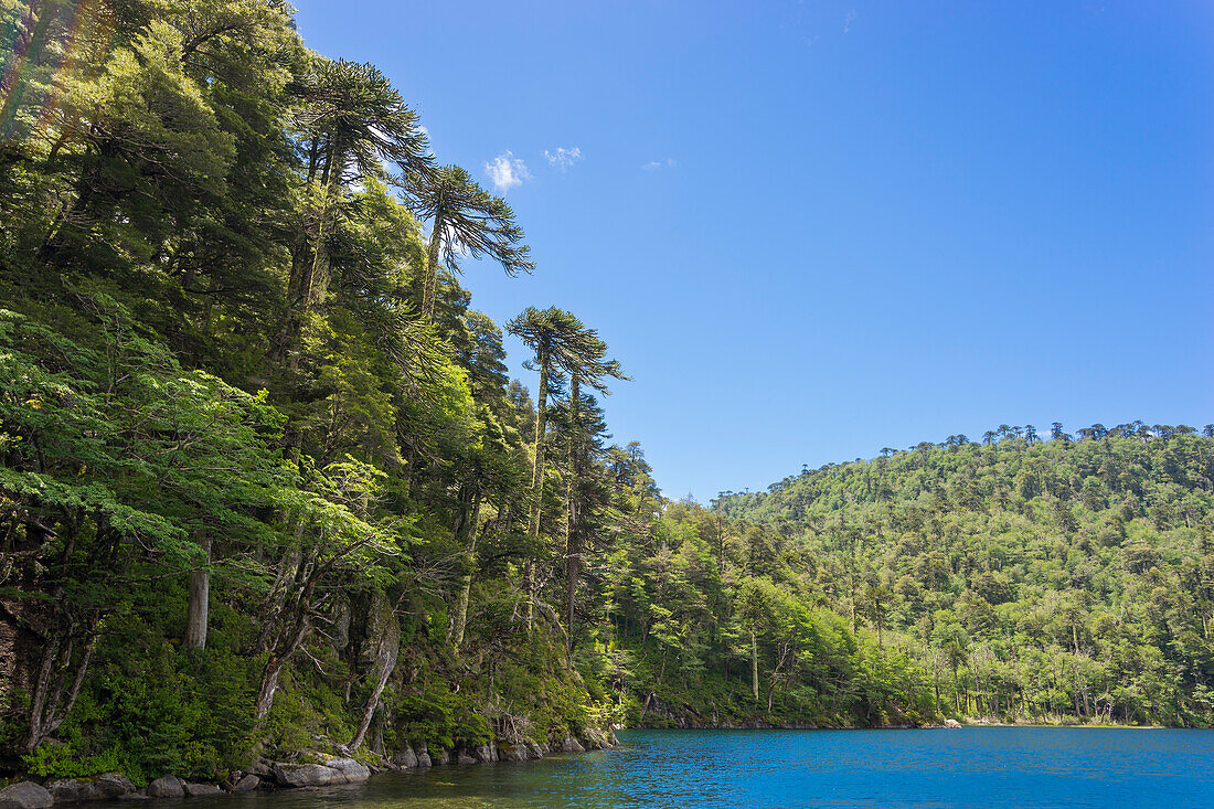 El Toro Lake, Huerquehue National Park, Pucon, Chile, South America