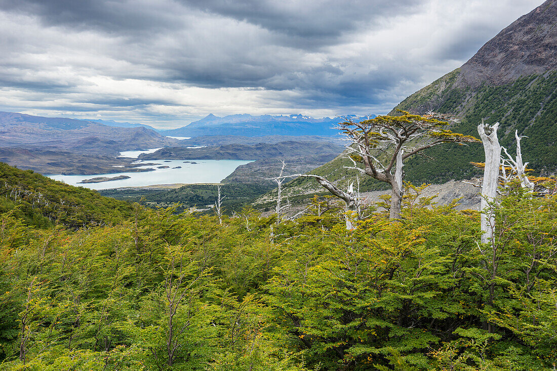 Aussichtspunkt French Valley, Nationalpark Torres del Paine, Patagonien, Chile, Südamerika