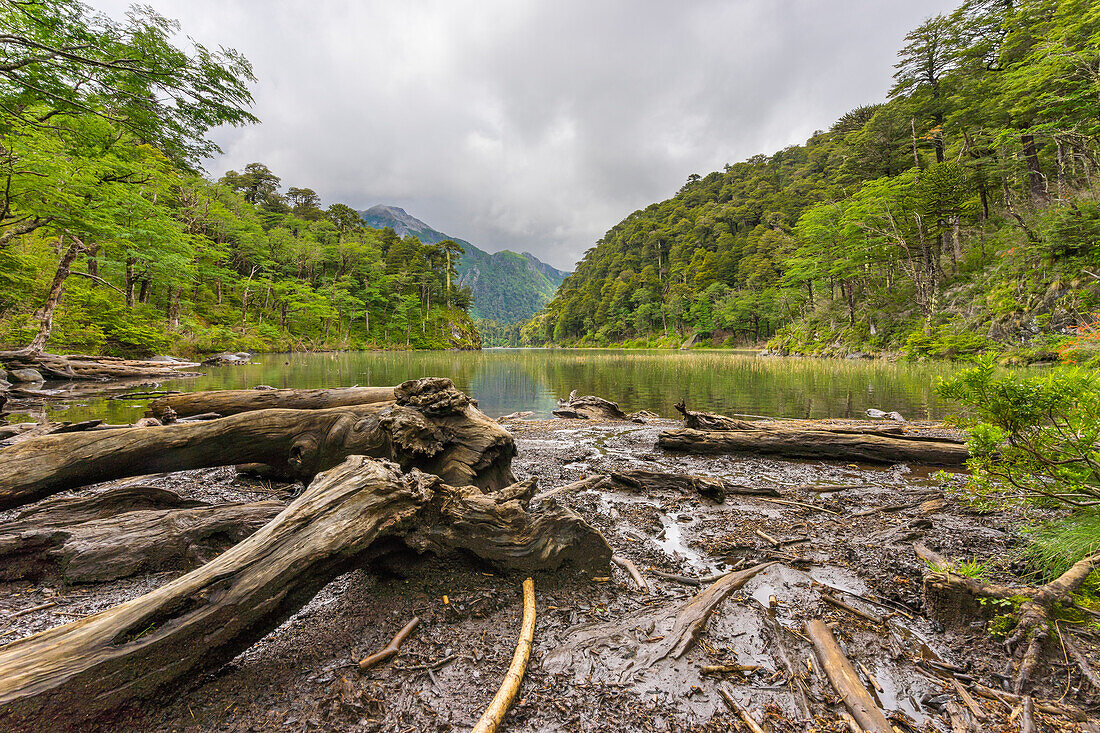 El Toro Lake, Huerquehue National Park, Pucon, Chile, South America