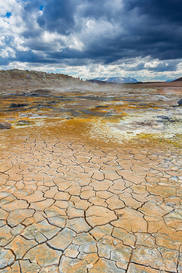 Geothermal area and mud cracks, Namafjall Hverir, Iceland, Polar Regions