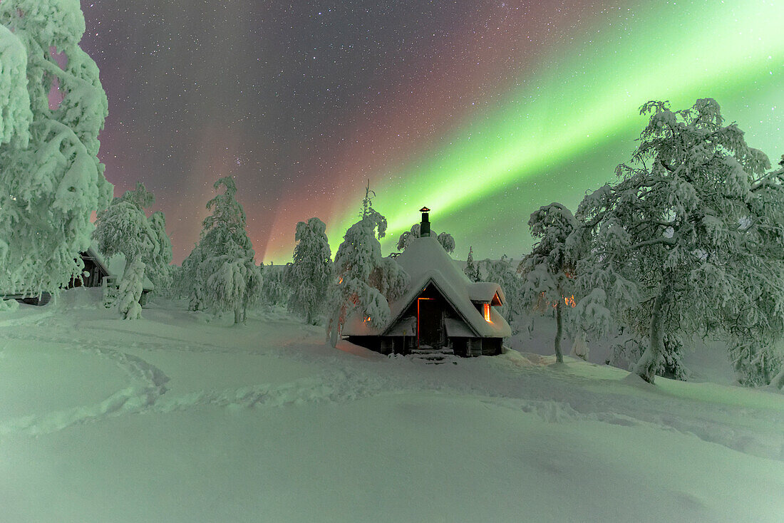 Winterbild einer vom grünen Nordlicht (Aurora Borealis) beleuchteten Hütte im eisigen Wald mit schneebedeckten Bäumen, Pallas-Yllastunturi-Nationalpark, Muonio, Lappland, Finnland, Europa